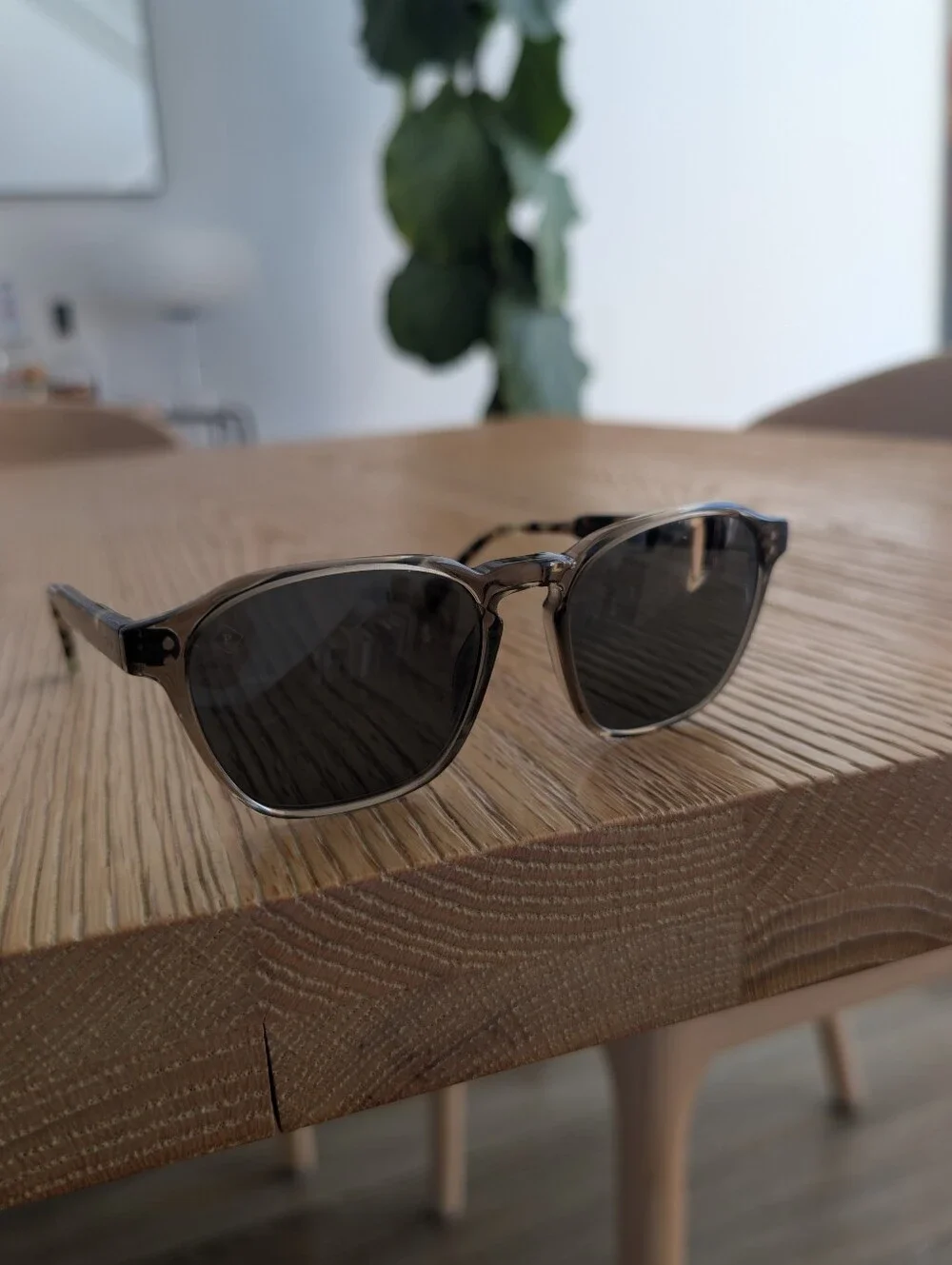 Exclusive Raen x Huckberry limited collab Aren Sunglasses